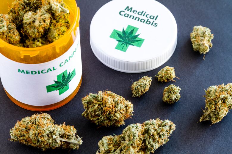 Empresas aspiran a importar cannabis medicinal, ya sea en medicamentos terminados, semilla, flor o la planta