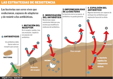 Resistencia a los antibióticos