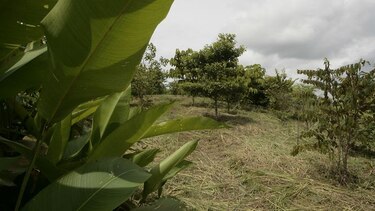 Canal certifica créditos de CO2