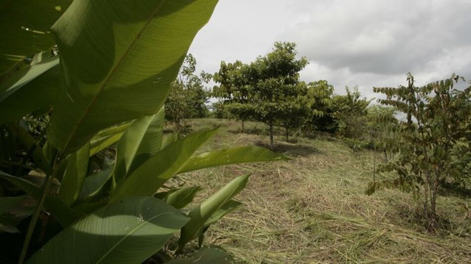Canal certifica créditos de CO2