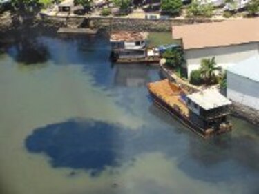 Investigan contaminación en la Bahía