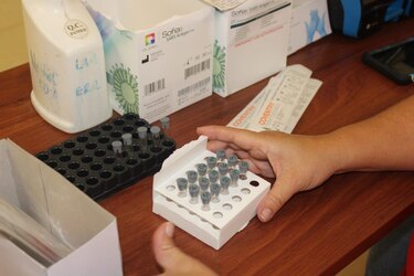 Panamá registra 108 casos y 4 muertes por la Covid-19 en las últimas 24 horas