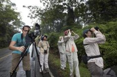 Se observaron casi 6 mil especies de aves durante el 'Big Global Day'