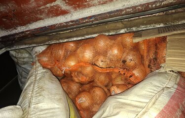 Chiriquí: retienen 300 sacos de cebolla de presunto contrabando