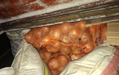 Chiriquí: retienen 300 sacos de cebolla de presunto contrabando