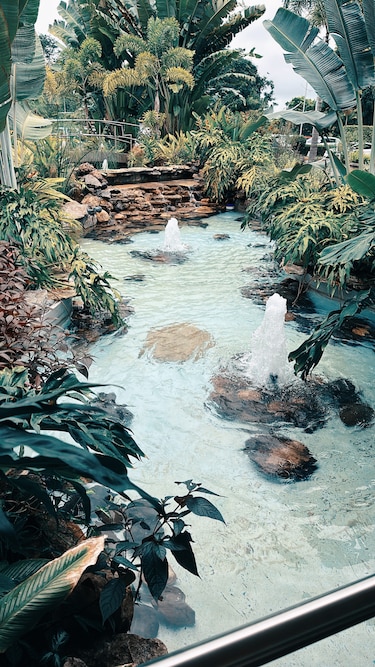 El agua crea pertenencia