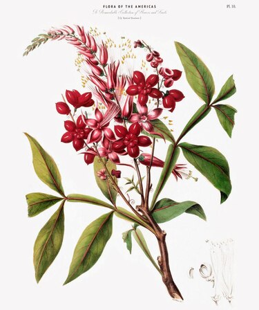 Qué son las ingeniosas cajas de Ward y cómo transformaron la economía mundial