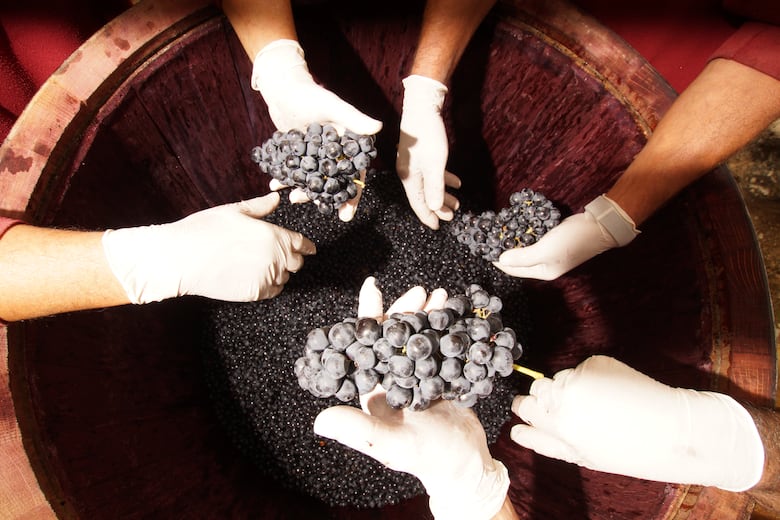 Un vino español entre los mejores vinos de Europa