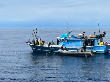 Miambiente reporta la aprehensión de ocho personas por pesca ilegal y aleteo de tiburones en aguas de Coiba