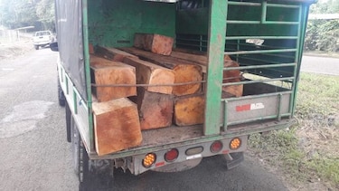 Retienen vehículo con madera de caoba en Pesé