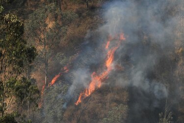 Sube la cifra de heridos por incendio en Quito y se ofrece recompensa por presuntos causantes