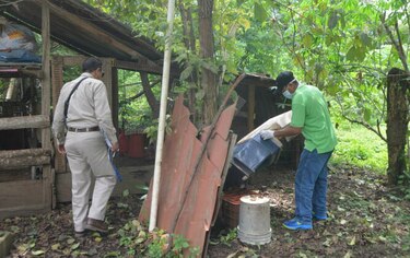 Reportan 17 casos de virus hanta en Los Santos