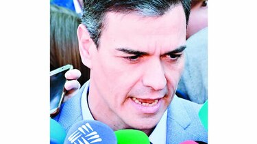 Pedro Sánchez, el ave fénix del socialismo