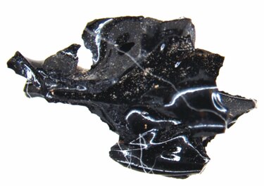 Descubren  fragmentos de un cerebro vitrificado