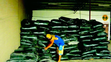 Ganaderos empiezan a recibir auxilio para enfrentar la sequía