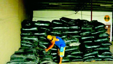 Ganaderos empiezan a recibir auxilio para enfrentar la sequía
