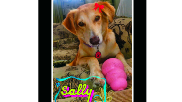 La valiente Sally