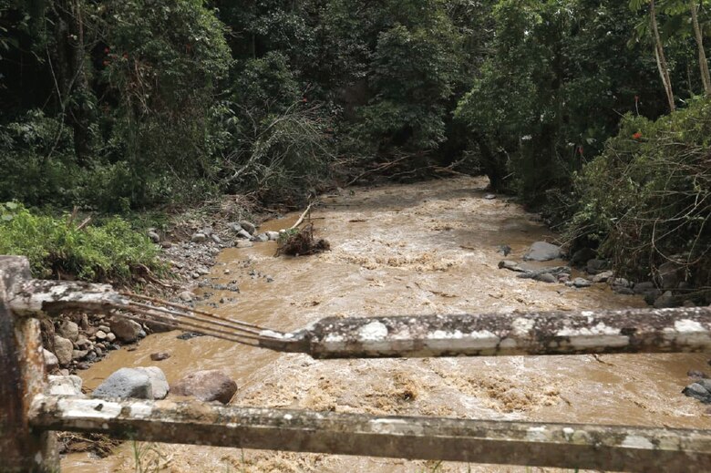 Cafetaleros de Renacimiento exigen la presencia del Gobierno en la zona