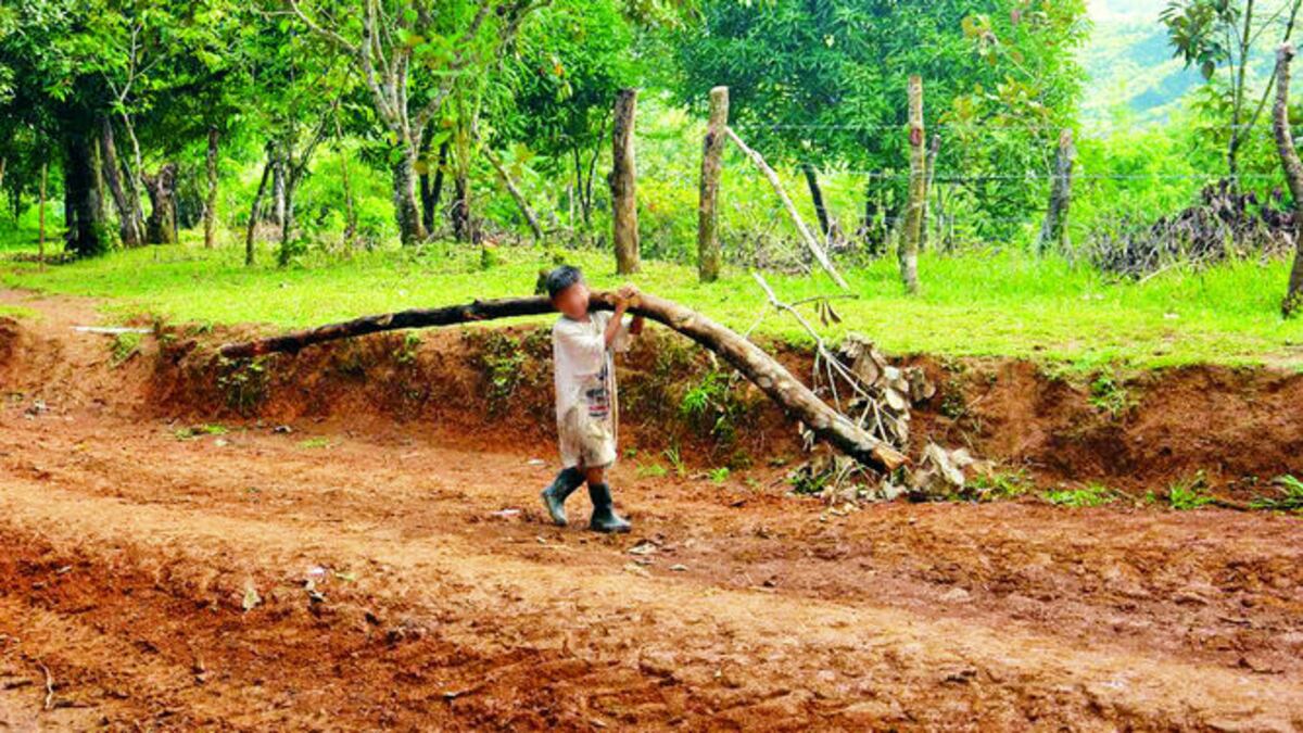 El 73% del trabajo infantil se realiza en las zonas comarcales y rurales, siendo la comarca Ngäbe Buglé y las provincias de Coclé y Darién las que tienen la mayor incidencia, afirma Casa Esperanza