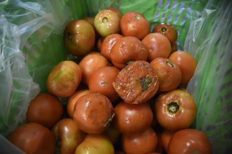 IPC de octubre registra variación interanual de 2.1%