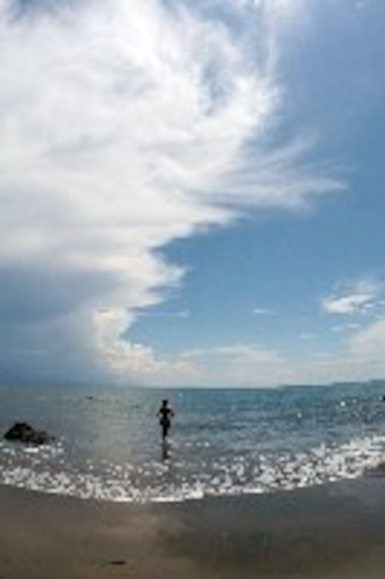 Pedasí, playas y diversidad