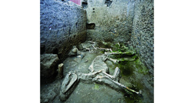 Pompeya abre la Casa de los amantes