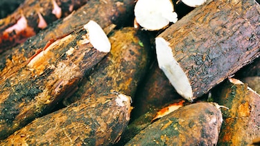 Sabores, cultura y memorias
