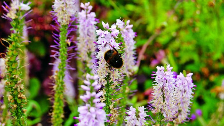 Veraneo en la costa inglesa