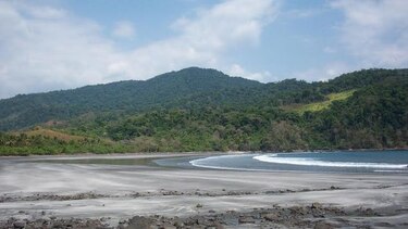 Alertan de tala en el parque nacional de Cerro Hoya