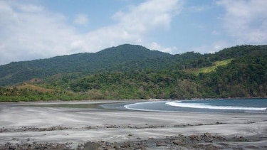 Alertan de tala en el parque nacional de Cerro Hoya