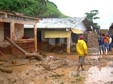 Ceden dos hectáreas para construir casas a damnificados en Colón