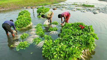 CAMBIO CLIMÁTICO Y LAS ENFERMEDADES NO INFECCIOSAS