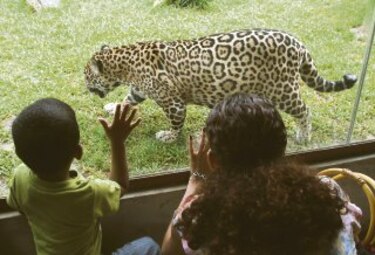 Aprender al aire libre