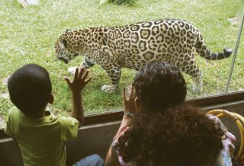 Aprender al aire libre