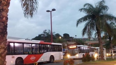Estiman que 80% de los conductores presta el servicio de transporte