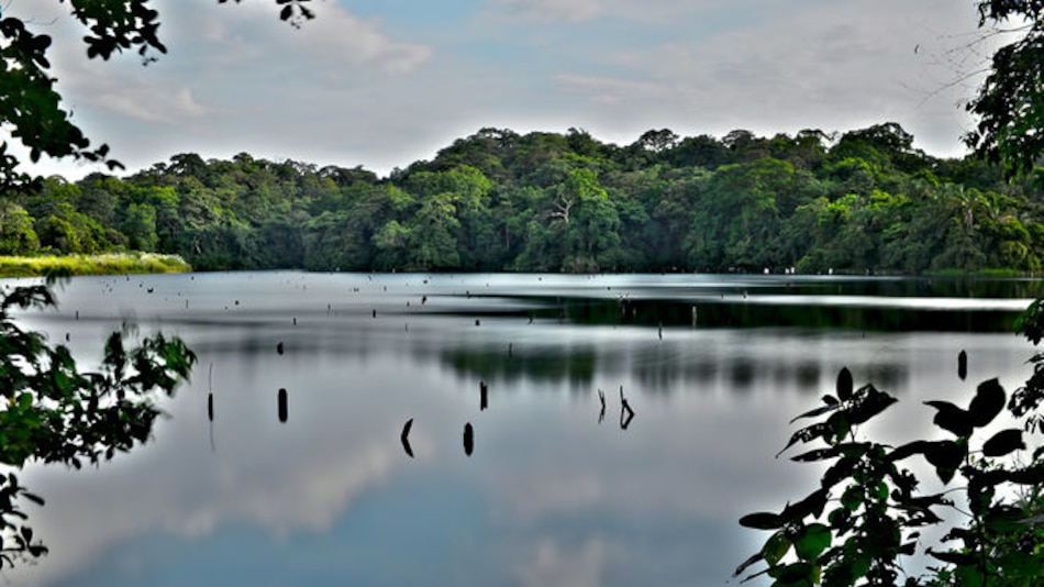 Lagos del Canal se mantienen con bajo nivel de agua