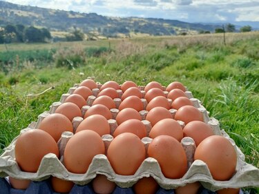 El precio de los huevos sube a máximos históricos en Estados Unidos
