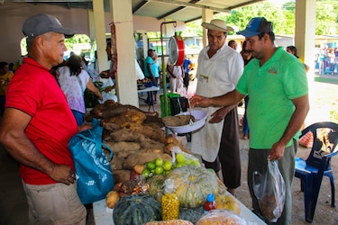 Calendario de Agroferias: dónde estarán el 11 de septiembre