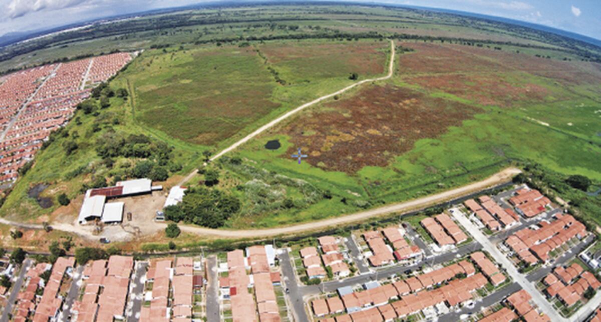 Consorcio presenta EIA de proyecto para desarrollo sobre 542 hectáreas