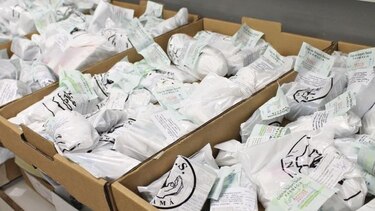 Burocracia en la Caja de Seguro Social, clave en desabastecimiento