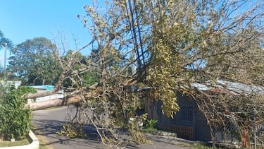 Afectaciones en el servicio eléctrico debido a condiciones climáticas