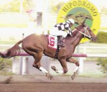 'Cachito': ¿un nuevo fenómeno pistero?