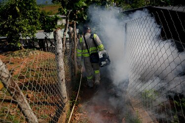Minsa pide estar alerta ante el inicio de la temporada lluviosa para evitar casos de dengue