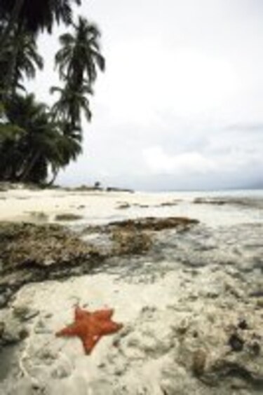 Estrellas limpiadoras limpiadoras