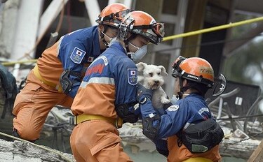 Entre homenajes y sepelios, México llora a sus muertos por el sismo
