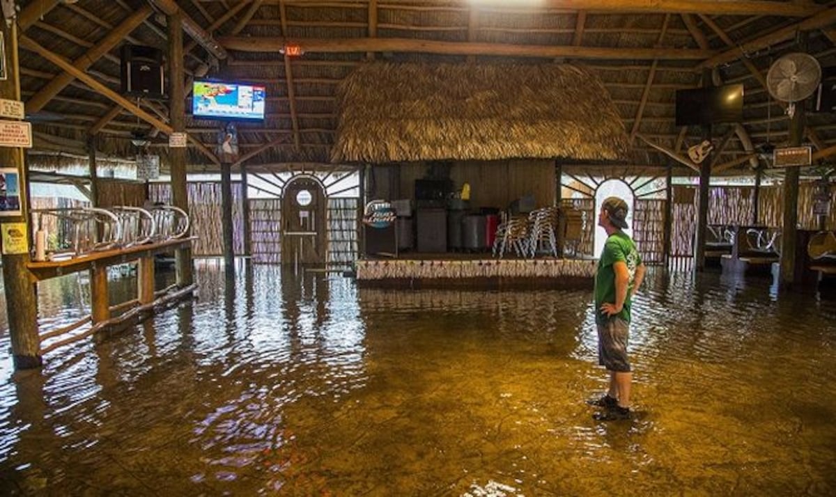 Hermine se acerca a la costa noroccidental de Florida