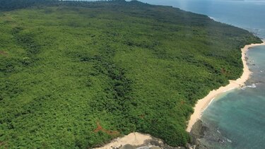 Ministro Emilio Sempris deberá responder sobre obras en parque Coiba