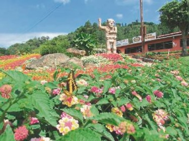 La feria de las flores