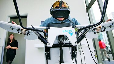 Volando como las aves gracias a la realidad virtual