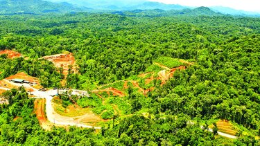 Donoso recupera su protección